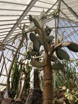 伊豆シャボテン動物公園に投稿された画像（2022/7/27）