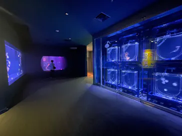 すみだ水族館に投稿された画像（2022/7/27）