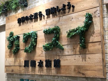 カワスイ 川崎⽔族館に投稿された画像（2022/7/27）