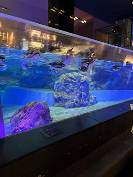 すみだ水族館に投稿された画像（2022/7/27）