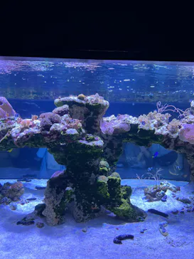 すみだ水族館に投稿された画像（2022/7/27）