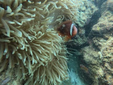 武藤潜水に投稿された画像（2022/7/28）