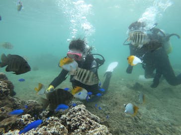 武藤潜水に投稿された画像（2022/7/28）
