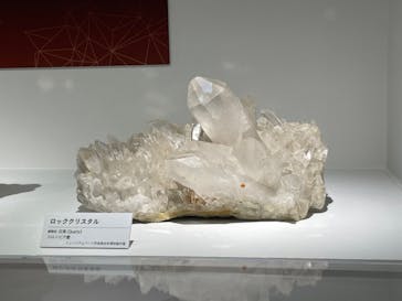 特別展「宝石　地球がうみだすキセキ」（名古屋市科学館　理工館地下２階イベントホール）に投稿された画像（2022/7/28）