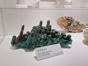 特別展「宝石　地球がうみだすキセキ」（名古屋市科学館　理工館地下２階イベントホール）に投稿された画像（2022/7/28）