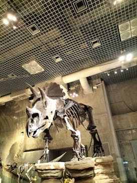 国立科学博物館に投稿された画像（2022/7/28）