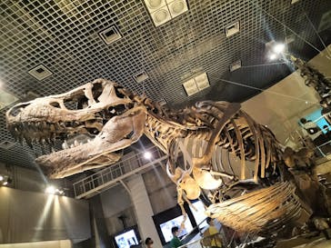 国立科学博物館に投稿された画像（2022/7/28）