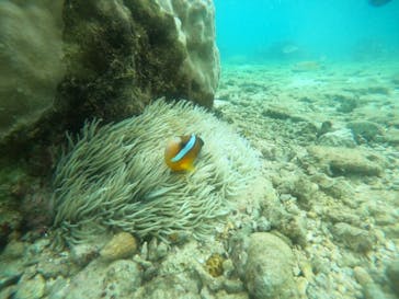 沖縄マリンサービス碧に投稿された画像（2022/7/28）