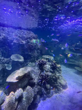 横浜・八景島シーパラダイスに投稿された画像（2022/7/28）