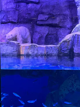 横浜・八景島シーパラダイスに投稿された画像（2022/7/28）