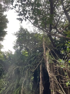 比謝川カヤックに投稿された画像（2022/7/28）