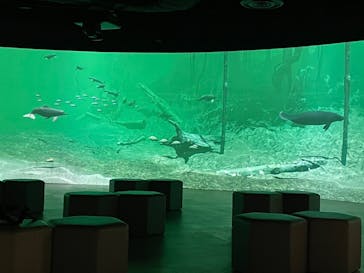 カワスイ 川崎⽔族館に投稿された画像（2022/7/28）