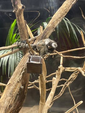 カワスイ 川崎⽔族館に投稿された画像（2022/7/28）