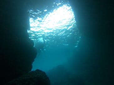 DIVING-SHOP SUNSに投稿された画像（2022/7/28）