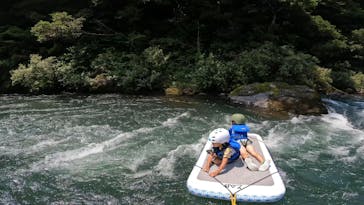 有機高揚に投稿された画像（2022/7/28）