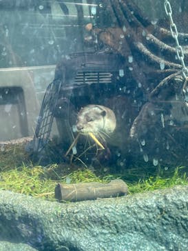 サンシャイン水族館に投稿された画像（2022/7/28）