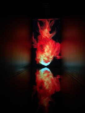 チームラボプラネッツ TOKYO DMMに投稿された画像（2022/7/28）