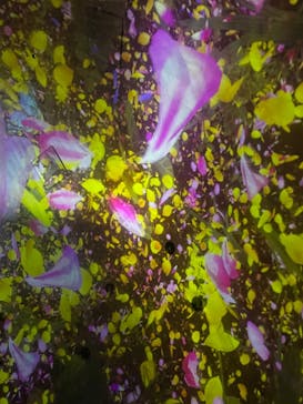 チームラボプラネッツ TOKYO DMMに投稿された画像（2022/7/28）