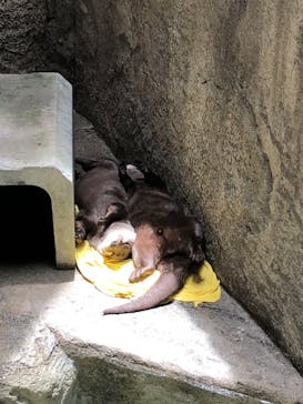 沖縄こどもの国に投稿された画像（2022/7/28）