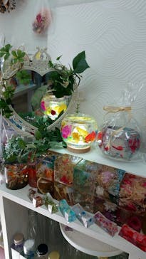 ずこうしつ〜sugamo〜に投稿された画像（2022/7/28）