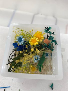 ずこうしつ〜sugamo〜に投稿された画像（2022/7/28）