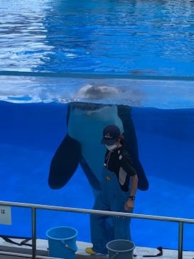 名古屋港水族館に投稿された画像（2022/7/28）