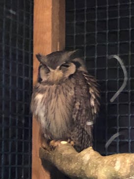 ぶっとんでるいきもの展2に投稿された画像（2022/7/28）