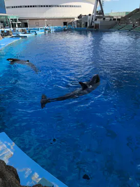 名古屋港水族館に投稿された画像（2022/7/28）