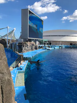 名古屋港水族館に投稿された画像（2022/7/28）