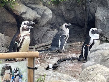 サンシャイン水族館に投稿された画像（2022/7/28）