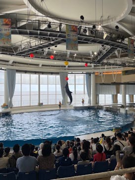 アクアワールド茨城県大洗水族館に投稿された画像（2022/7/28）