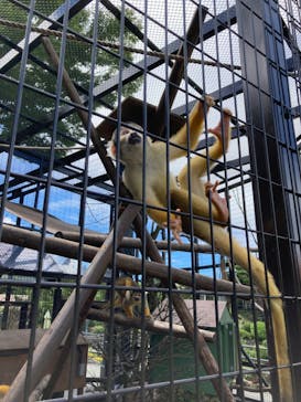 伊豆シャボテン動物公園に投稿された画像（2022/7/28）