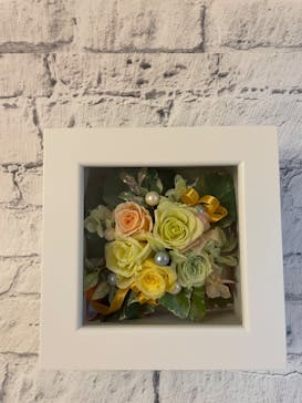 プティアメリに投稿された画像（2022/7/28）