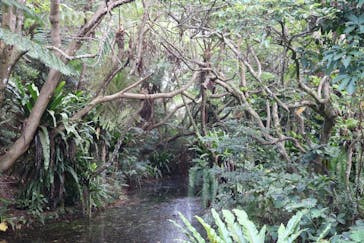 ビオスの丘に投稿された画像（2022/7/28）