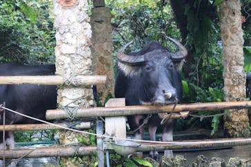 ビオスの丘に投稿された画像（2022/7/28）