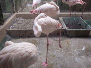 ネオパークオキナワに投稿された画像（2022/7/28）