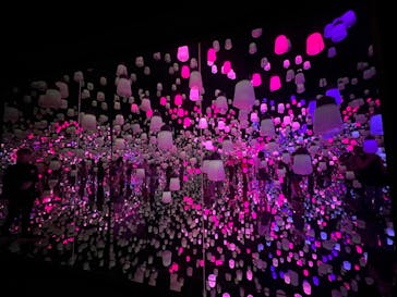 森ビル デジタルアート ミュージアム：エプソン チームラボボーダレスに投稿された画像（2022/7/28）