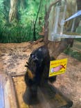 伊豆シャボテン動物公園に投稿された画像（2022/7/28）