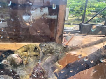 伊豆シャボテン動物公園に投稿された画像（2022/7/28）