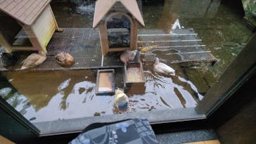 箱根湯本温泉 天成園に投稿された画像（2022/7/28）