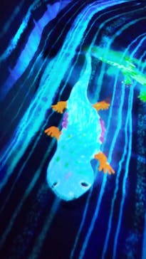 森ビル デジタルアート ミュージアム：エプソン チームラボボーダレスに投稿された画像（2022/7/29）