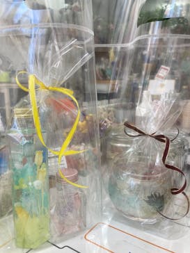 ずこうしつ〜sugamo〜に投稿された画像（2022/7/29）