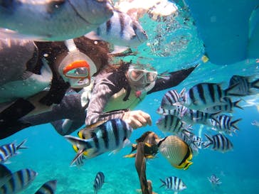 沖縄マリンサービス碧に投稿された画像（2022/7/29）