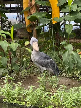 神戸どうぶつ王国に投稿された画像（2022/7/29）
