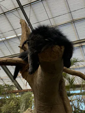 神戸どうぶつ王国に投稿された画像（2022/7/29）