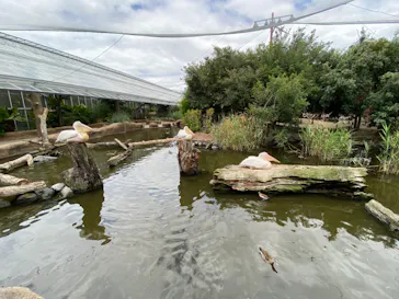 神戸どうぶつ王国に投稿された画像（2022/7/29）