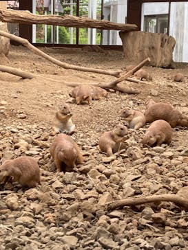 那須どうぶつ王国に投稿された画像（2022/7/29）