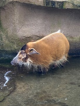 那須どうぶつ王国に投稿された画像（2022/7/29）