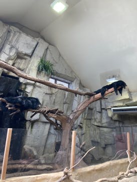 那須どうぶつ王国に投稿された画像（2022/7/29）