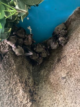 那須どうぶつ王国に投稿された画像（2022/7/29）